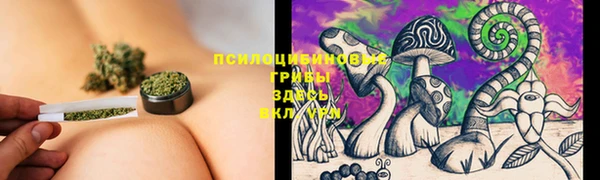ешки Пестово