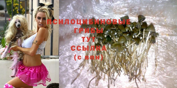 гидропоника Покров