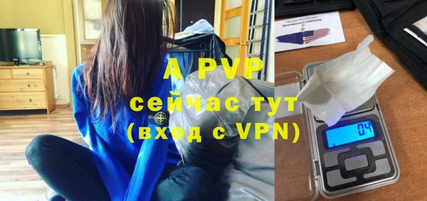 прущие крисы Пересвет