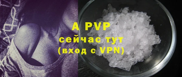 прущие крисы Пересвет