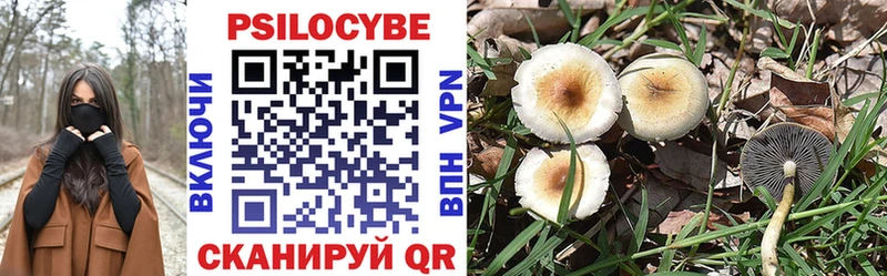 Псилоцибиновые грибы Psilocybine cubensis купить цена Анива